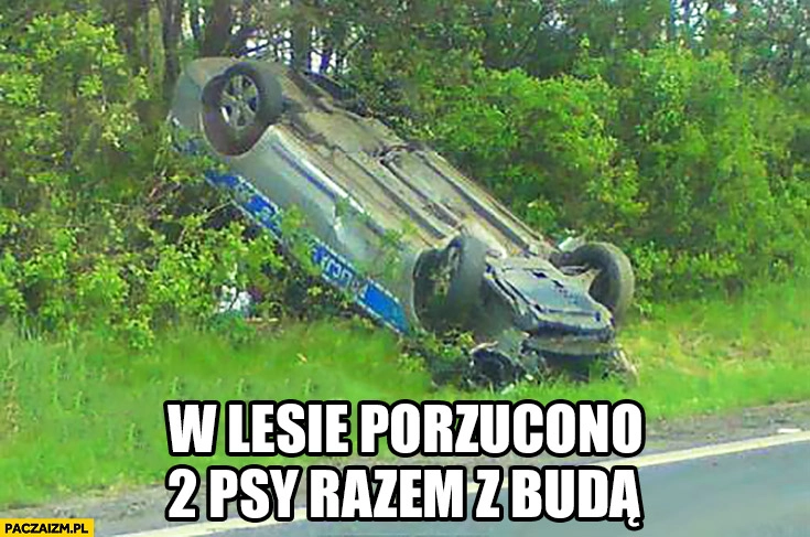 
    W lesie porzucono 2 psy razem z budą radiowóz policyjny po dachowaniu