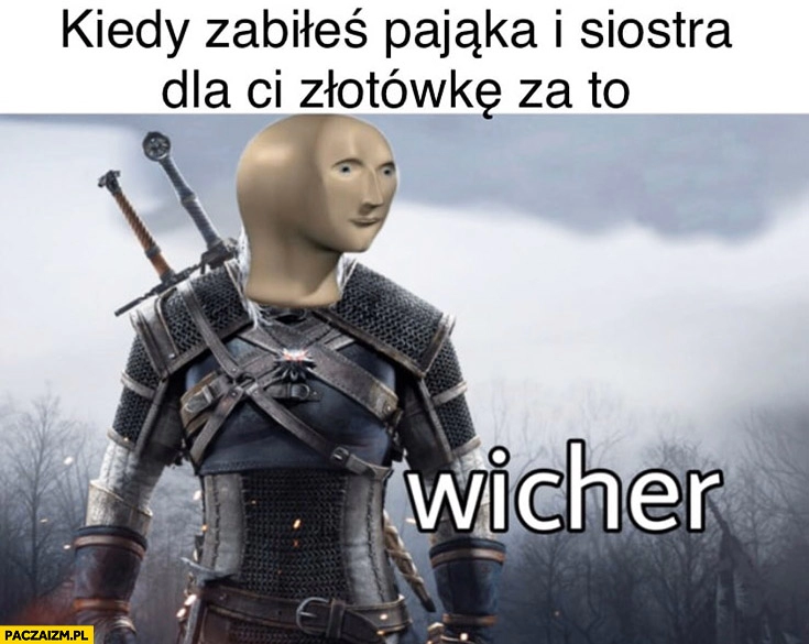 
    Kiedy zabiłeś pająka i siostra dała Ci za to złotówkę czuje się jak Wiedźmin