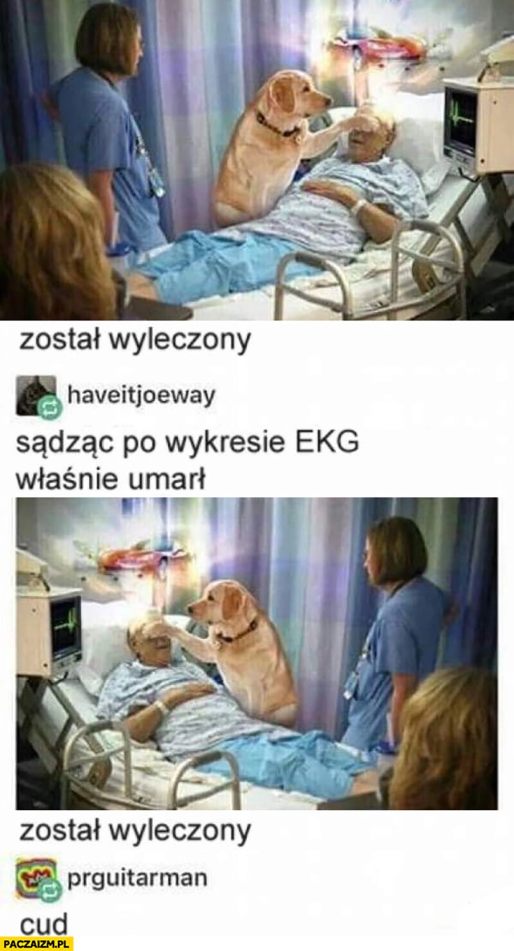 
    Pies pacjent został wyleczony, sądząc po EKG właśnie umarł lustrzane odbicie, został wyleczony cud