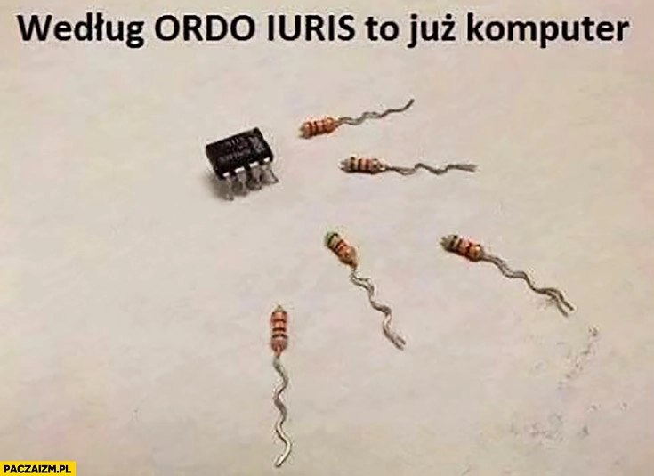 
    Według Ordo Iuris to już komputer tranzystory jak plemniki