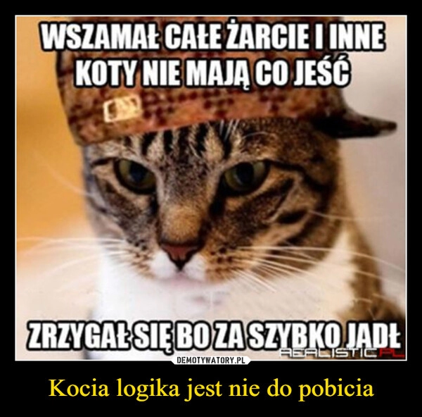 
    Kocia logika jest nie do pobicia