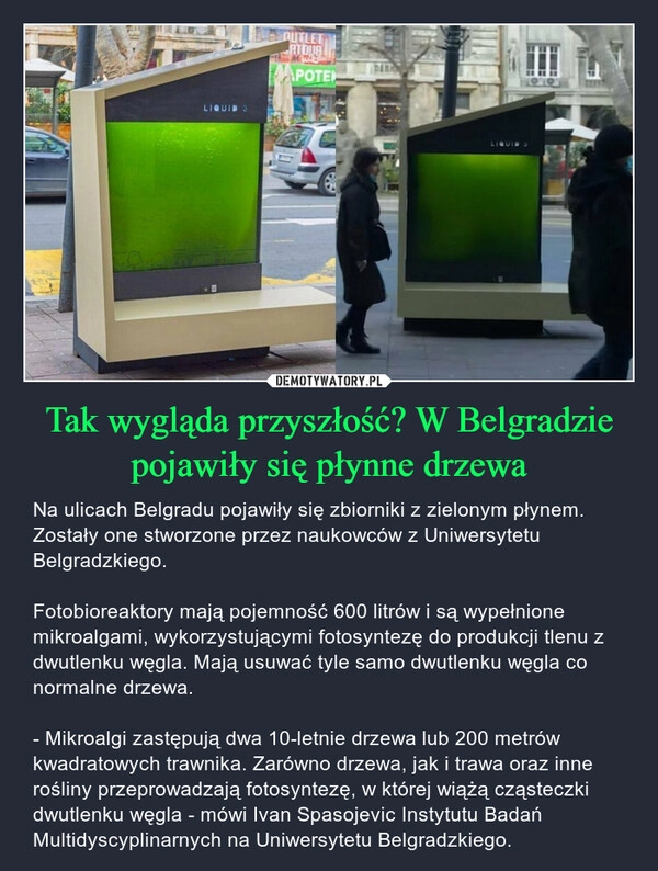 
    Tak wygląda przyszłość? W Belgradzie pojawiły się płynne drzewa