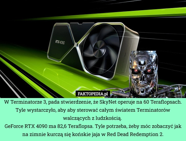 
    W Terminatorze 3, pada stwierdzenie, że SkyNet operuje na 60 Teraflopsach.