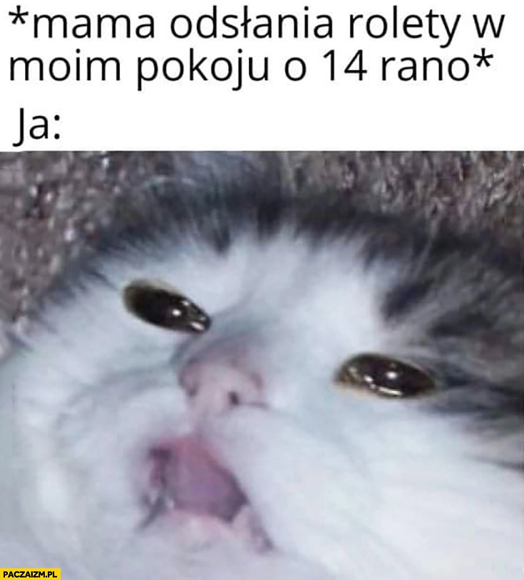 
    Mama odsłania rolety w moim pokoju o 14 rano, ja zmęczony niewyspany kot