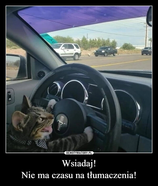 
    Wsiadaj!
Nie ma czasu na tłumaczenia!