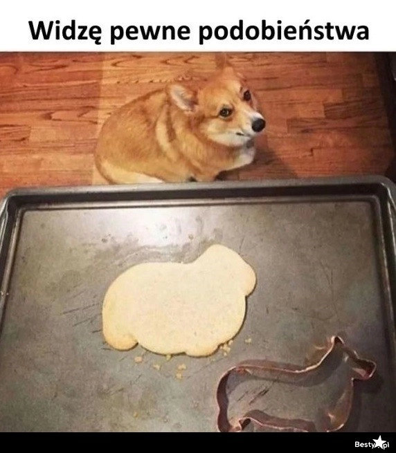 
    Podobieństwa 