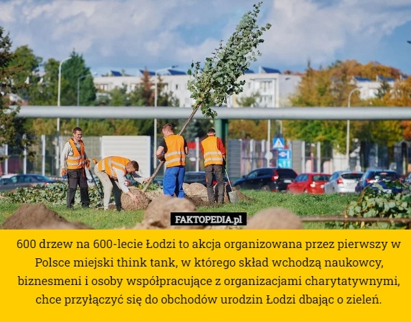 
    600 drzew na 600-lecie Łodzi to akcja organizowana przez pierwszy w Polsce