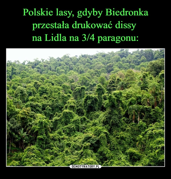 
    Polskie lasy, gdyby Biedronka przestała drukować dissy 
na Lidla na 3/4 paragonu: