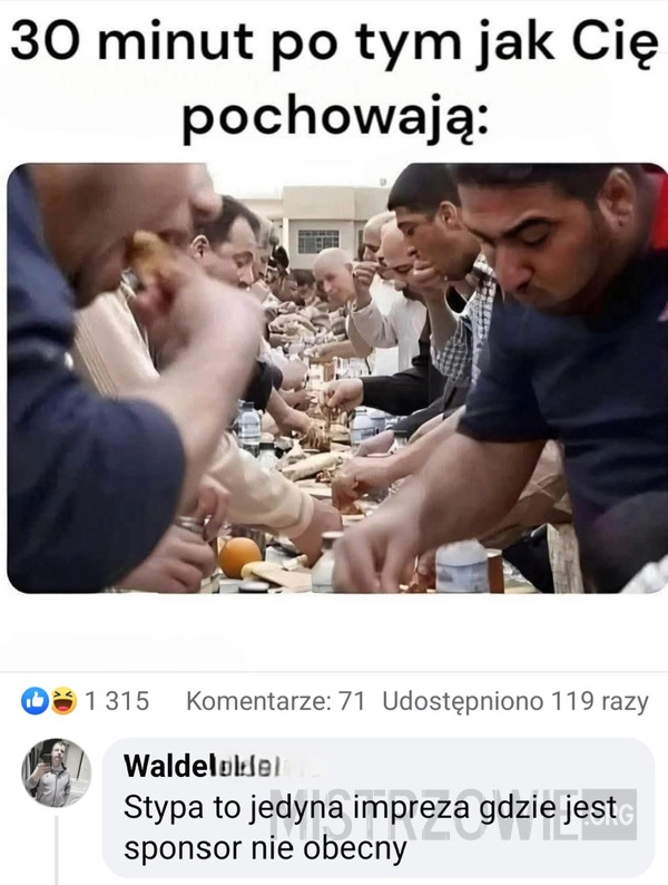 
    Stypa
