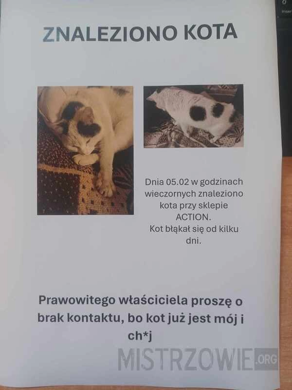 
    Żona znalazła kota, miałem zrobić plakat...