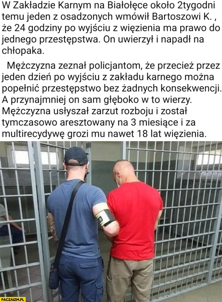 
    24 godziny po wyjściu z więzienia ma prawo do jednego przestępstwa wkręta skazanego