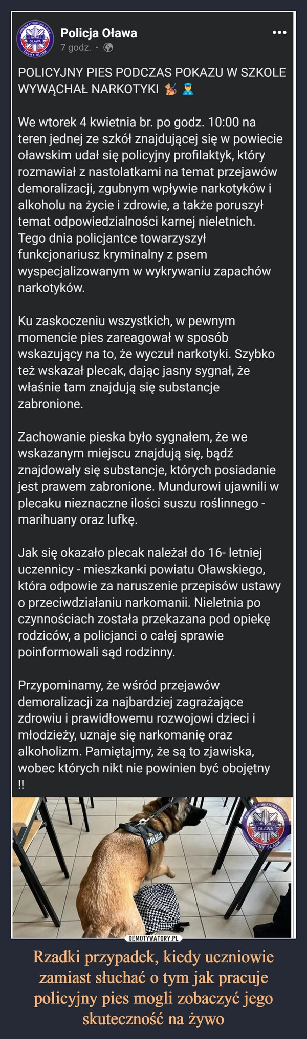 
    Rzadki przypadek, kiedy uczniowie zamiast słuchać o tym jak pracuje policyjny pies mogli zobaczyć jego skuteczność na żywo