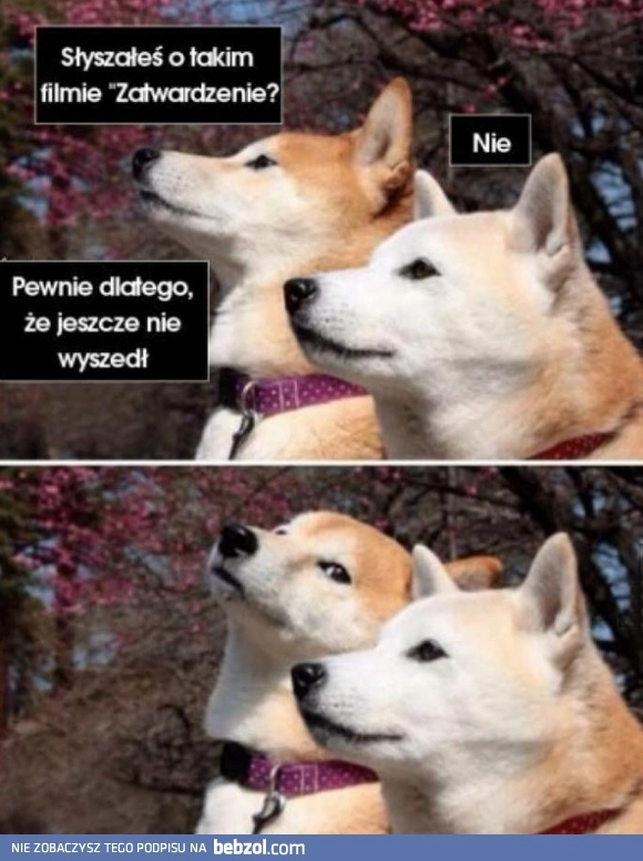 
    Film: 