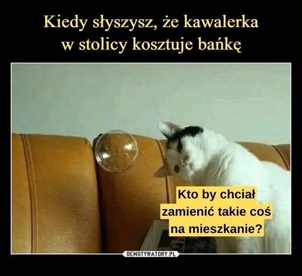 
    Kiedy słyszysz, że kawalerka
w stolicy kosztuje bańkę