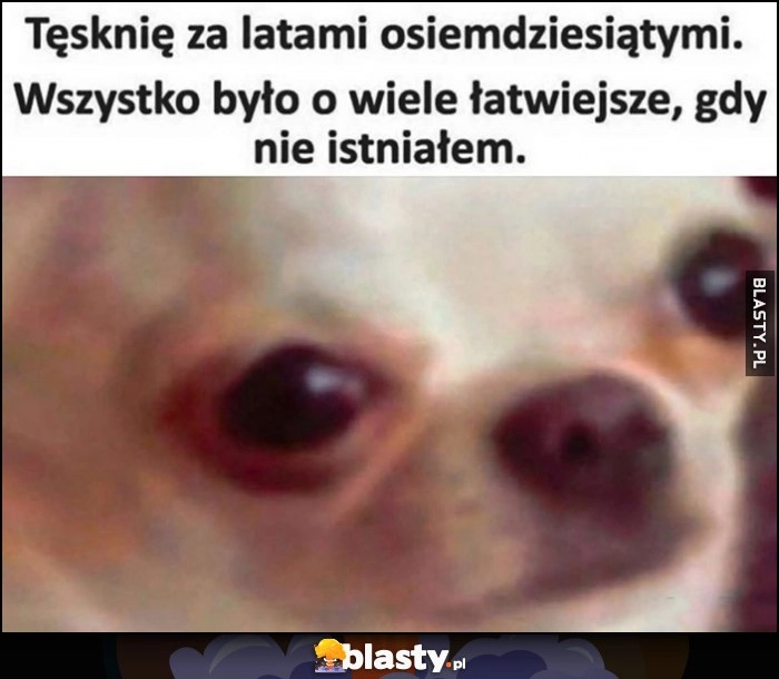 
    Tęsknię za latami osiemdziesiątymi, wszystko było o wiele łatwiejsze, gdy nie istniałem