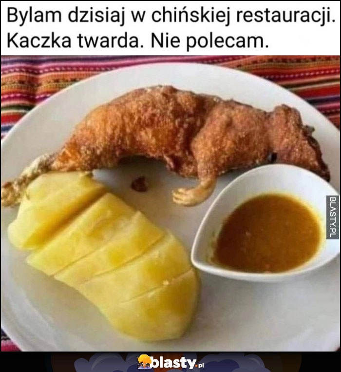 
    Byłam dzisiaj w chińskiej restauracji, kaczka twarda, nie polecam szczur