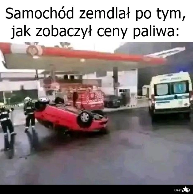 
    Zemdlał z przerażenia 