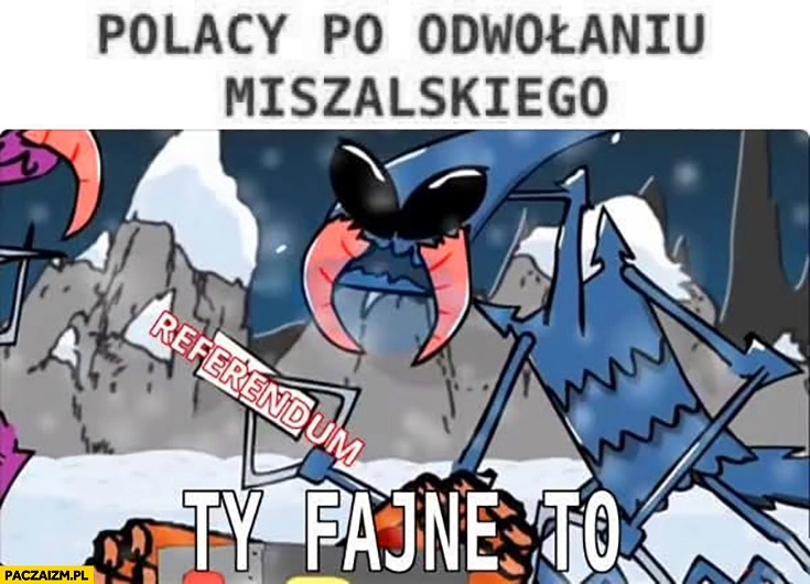
    Polacy po odwołaniu Miszalskiego referendum ty fajne to