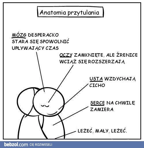 
    Anatomia przytulania