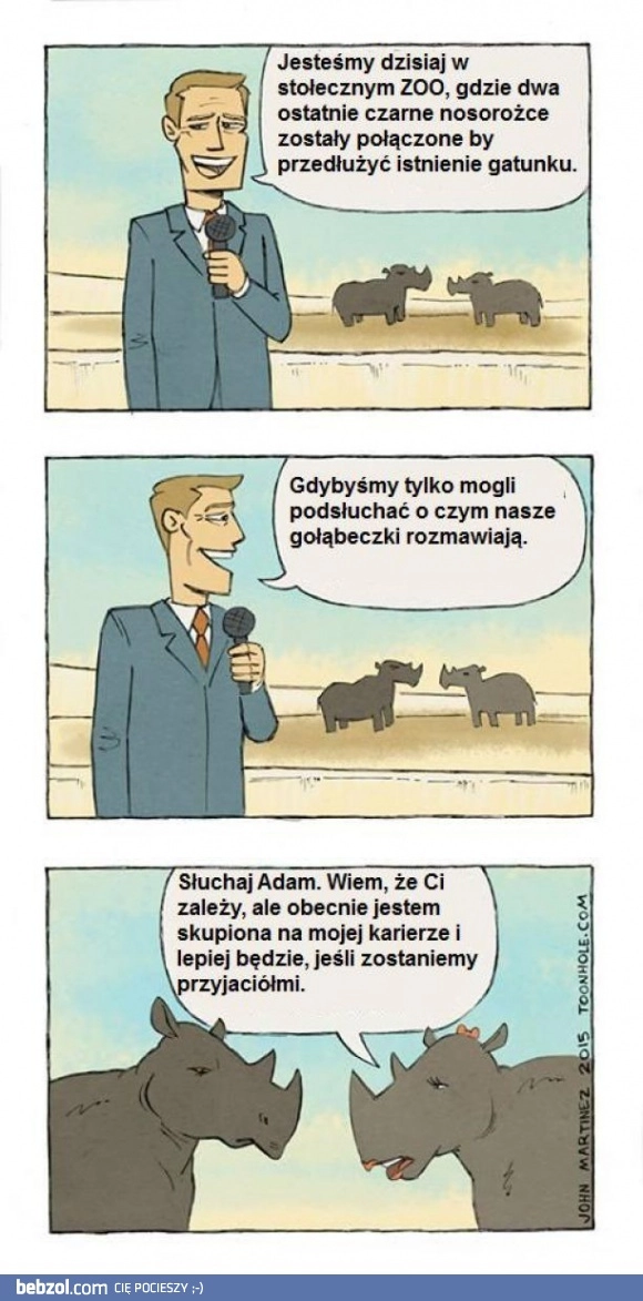 
    Nosorożce