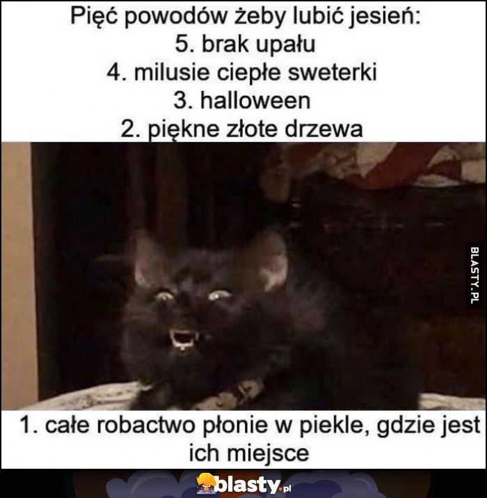 
    5 powodów żeby lubić jesień: brak upału, milusie ciepłe sweterki, halloween, piękne złote drzewa, robactwo płonie w piekle