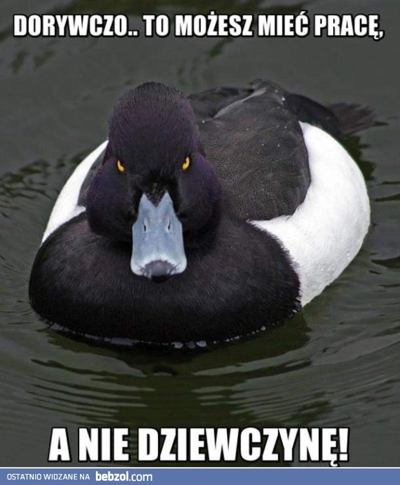 
    Dorywczo