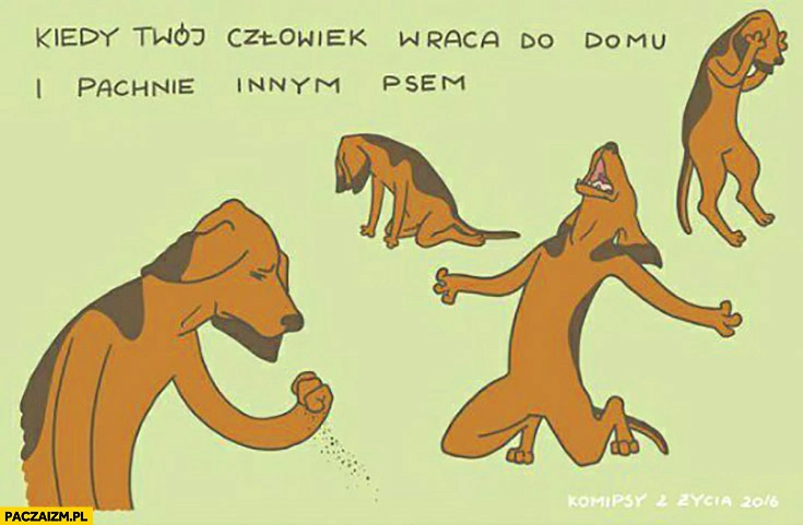 
    Kiedy Twój człowiek wraca do domu i pachnie innym psem