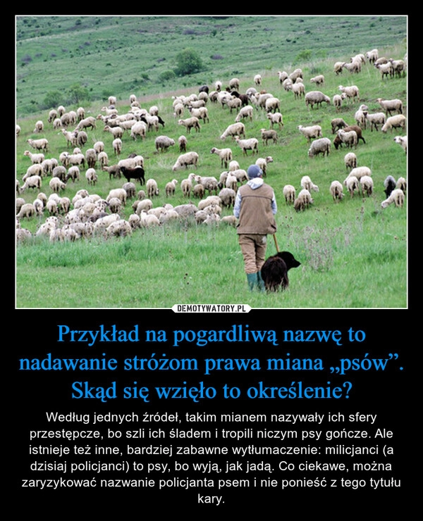 
    
Przykład na pogardliwą nazwę to nadawanie stróżom prawa miana „psów”. Skąd się wzięło to określenie? 