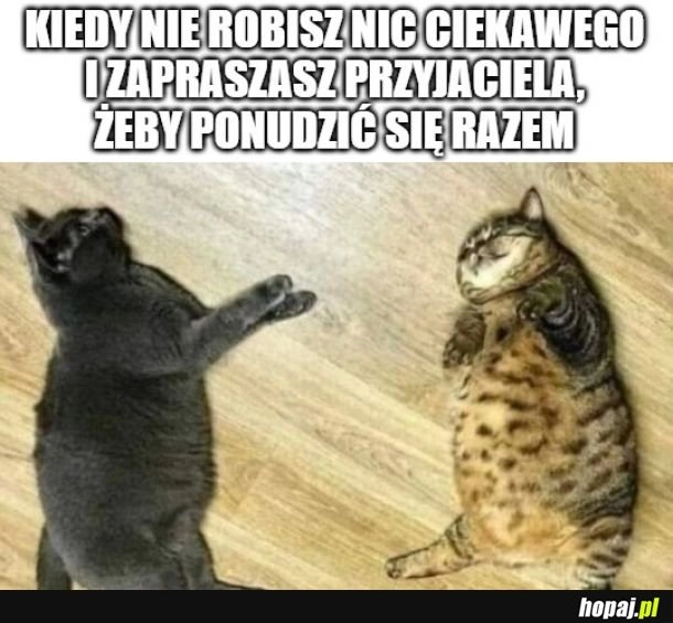 
    Od razu przyjemniej