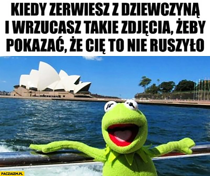 
    Kermit kiedy zerwiesz z dziewczyną i wrzucasz takie zdjęcia żeby pokazać, że Cię to nie ruszyło opera w Sydney