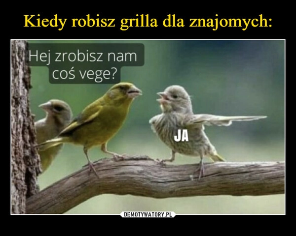 
    Kiedy robisz grilla dla znajomych: