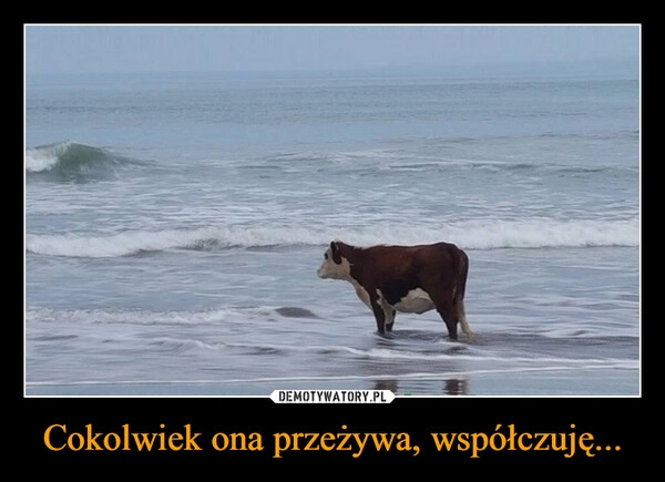 
    Cokolwiek ona przeżywa, współczuję...