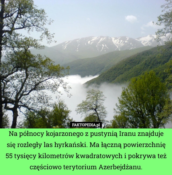 
    Na północy kojarzonego z pustynią Iranu znajduje się rozległy las hyrkański.
