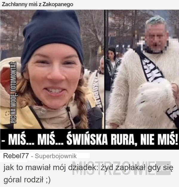 
    Zachłanny miś z Zakopanego