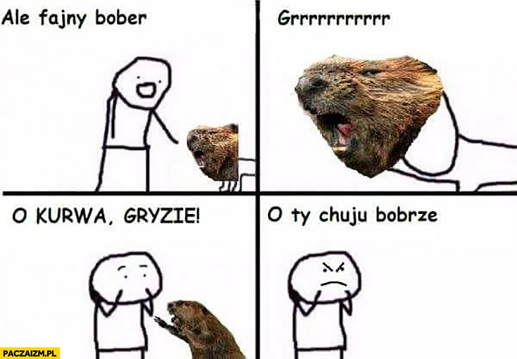 
    Ale fajny bober, grrr, o kurna gryzie, Ty chamie bobrze! O nie jest upośledzony komiks