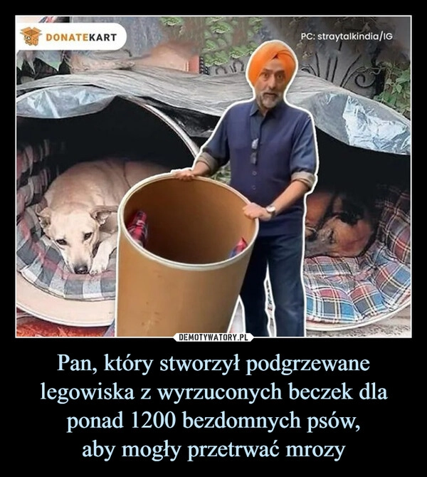 
    Pan, który stworzył podgrzewane legowiska z wyrzuconych beczek dla ponad 1200 bezdomnych psów,
aby mogły przetrwać mrozy