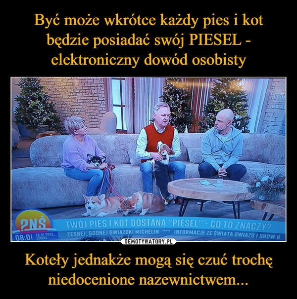 
    Być może wkrótce każdy pies i kot będzie posiadać swój PIESEL - elektroniczny dowód osobisty Koteły jednakże mogą się czuć trochę niedocenione nazewnictwem...