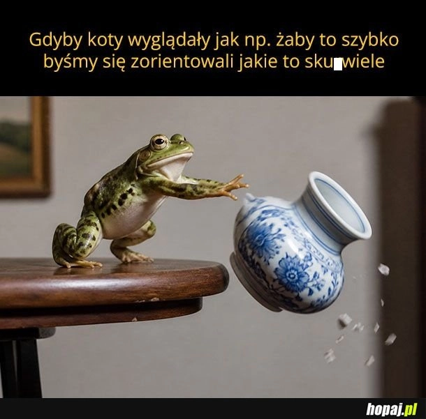 
    Koty to dranie
