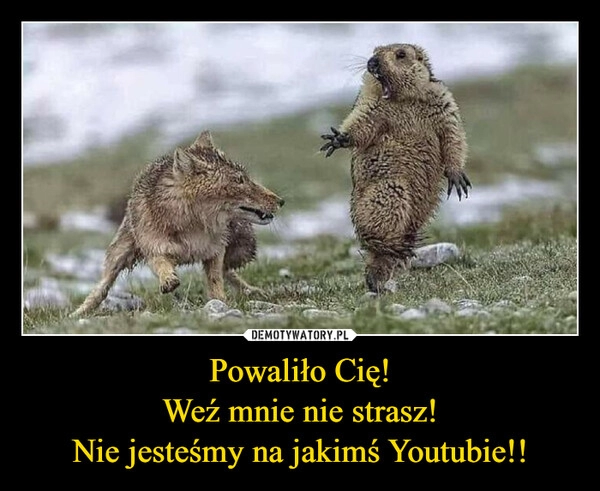 
    Powaliło Cię!
Weź mnie nie strasz!
Nie jesteśmy na jakimś Youtubie!!