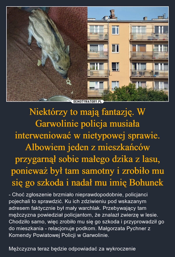 
    Niektórzy to mają fantazję. W Garwolinie policja musiała interweniować w nietypowej sprawie. Albowiem jeden z mieszkańców przygarnął sobie małego dzika z lasu, ponieważ był tam samotny i zrobiło mu się go szkoda i nadał mu imię Bohunek