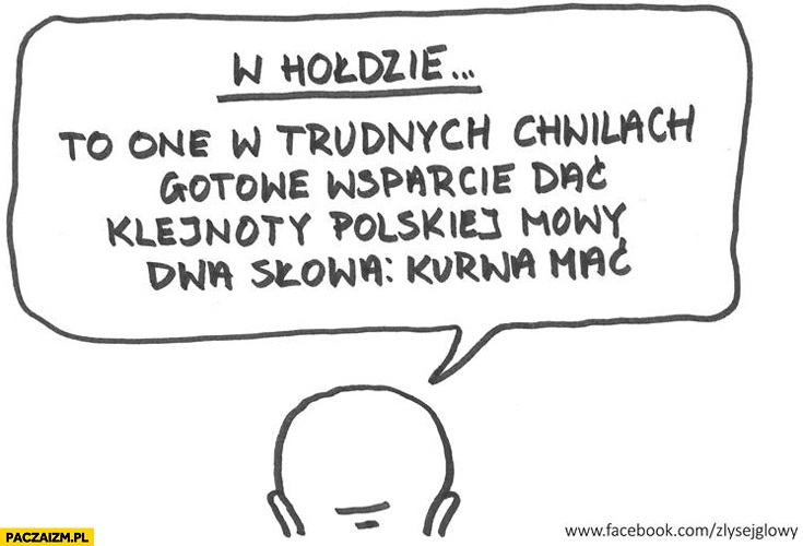 
    W hołdzie klejnoty polskiej mowy dwa słowa kurwa mać