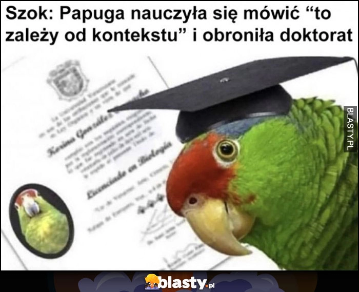 
    Szok: papuga nauczyła się mówić 