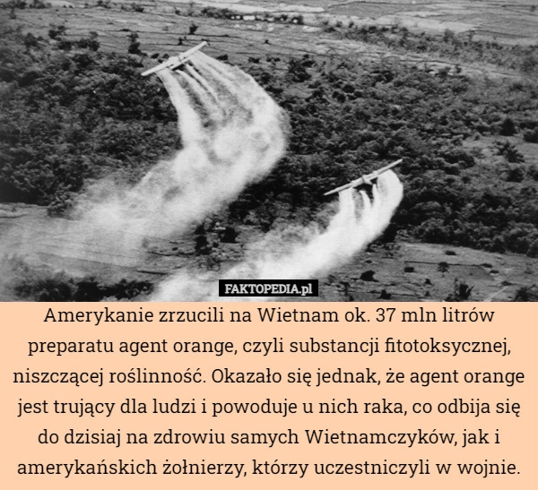 
    Amerykanie zrzucili na Wietnam ok. 37 mln litrów preparatu agent orange,