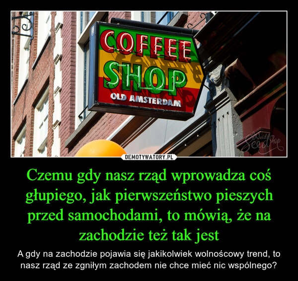 
    Czemu gdy nasz rząd wprowadza coś głupiego, jak pierwszeństwo pieszych przed samochodami, to mówią, że na zachodzie też tak jest