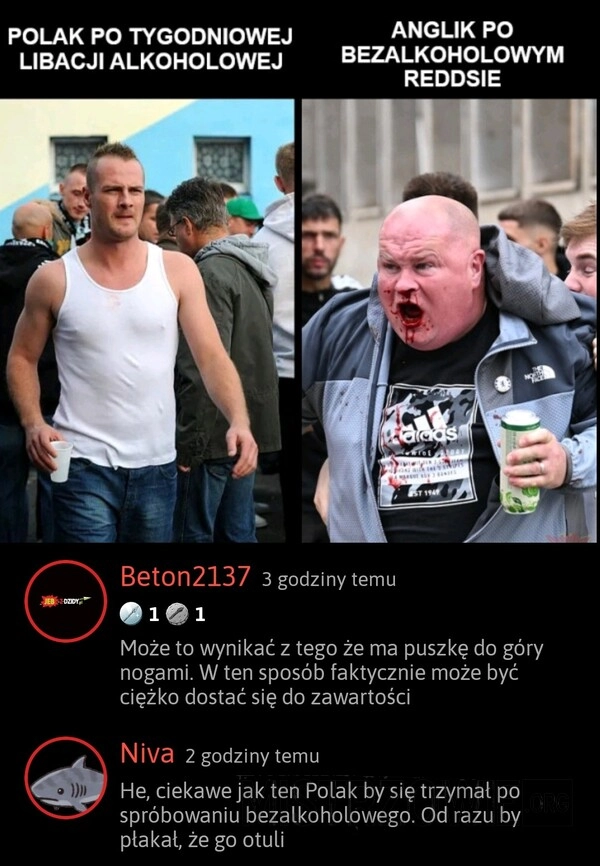 
    Polak i Anglik