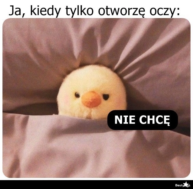 
    Już od rana 