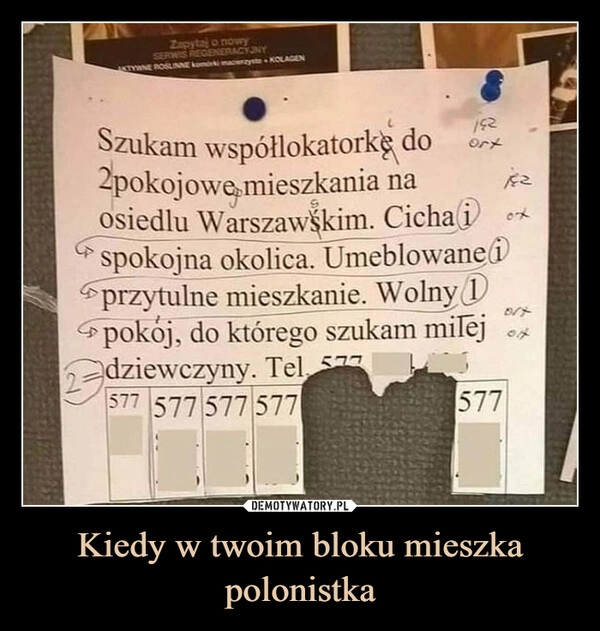 
    Kiedy w twoim bloku mieszka polonistka