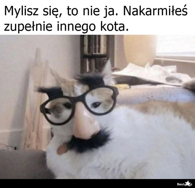 
    Mylisz się, ludziu 