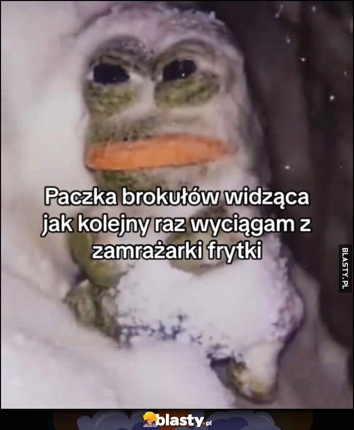 
    Paczka brokułów widząca jak kolejny raz wyciągam z zamrażarki frytki