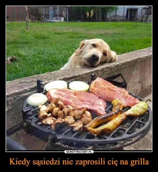 
    Kiedy sąsiedzi nie zaprosili cię na grilla